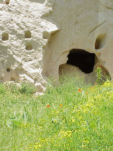   Cave & wildflowers     Ihlara Valley   Cappadocia